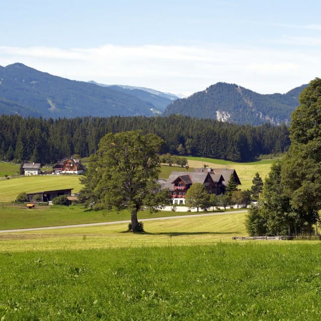 Natur und Berge rund um Hotel Stockerwirt