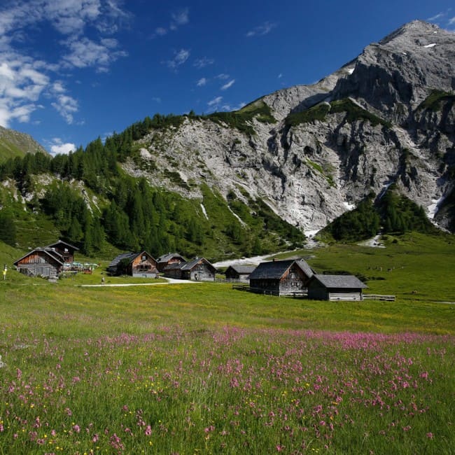 Ursprungalm © schladming-dachstein_raffalt 