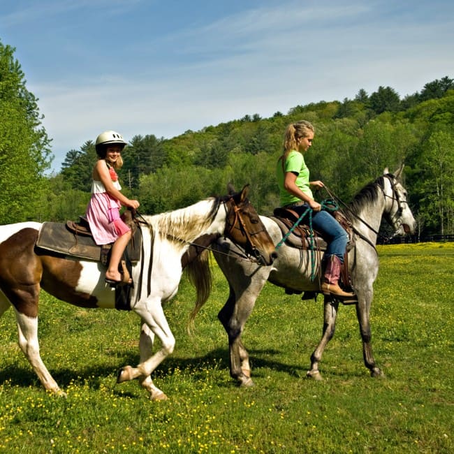 Reiten in Ramsau