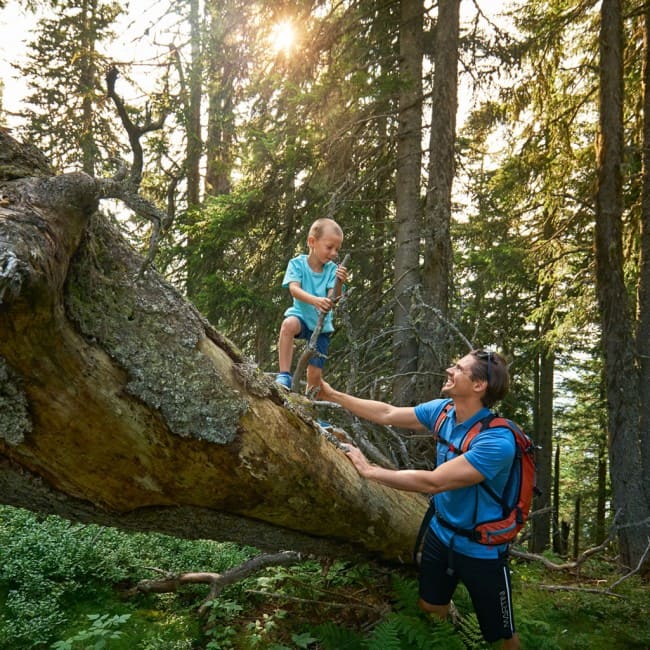 Vater und Sohn beim Waldspaziergang © Peter Burgstaller 